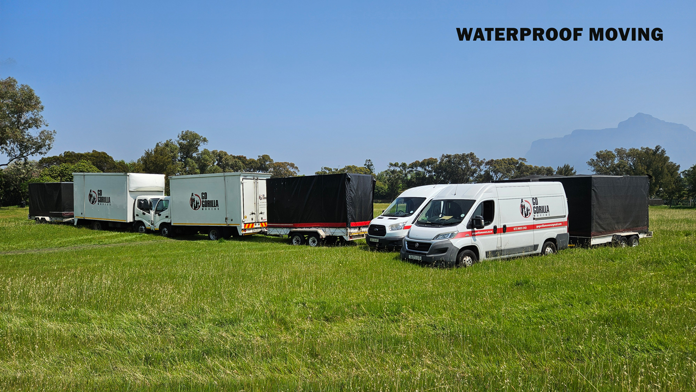 Go Gorilla Movers waterproof trucks and covered trailers lined up, ready to move in any Cape Town weather